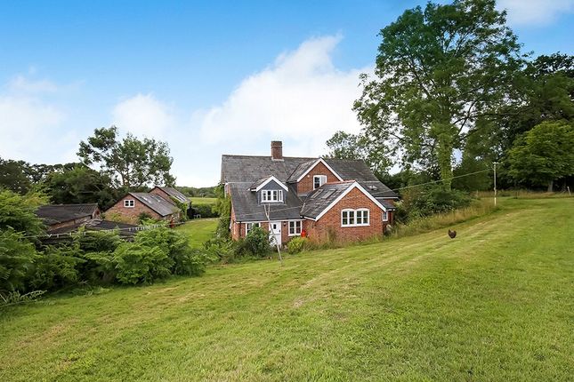 Detached house for sale in Kewlake Lane, Bramshaw, Lyndhurst, Hampshire
