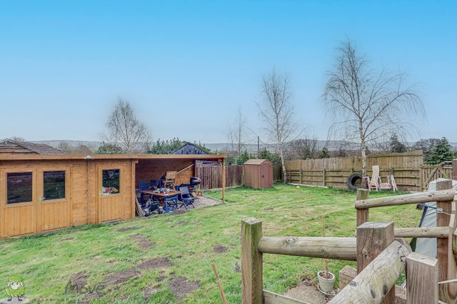 Back Garden