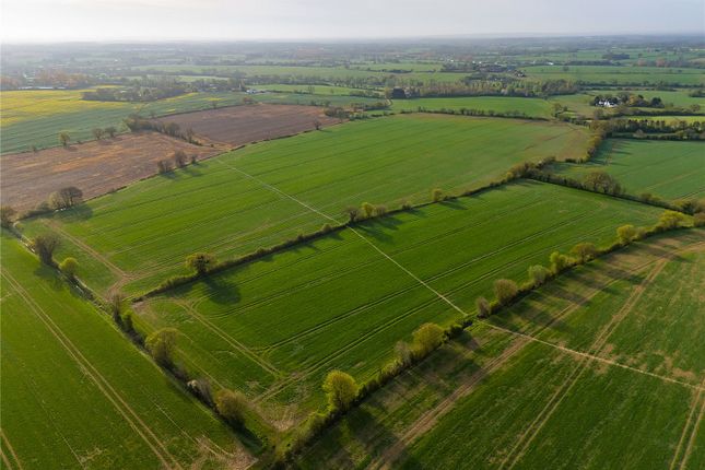 Land for sale in Land At Felsted, Bannister Green, Dunmow, Essex