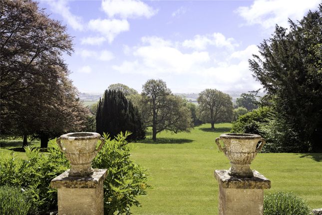 View From Terrace