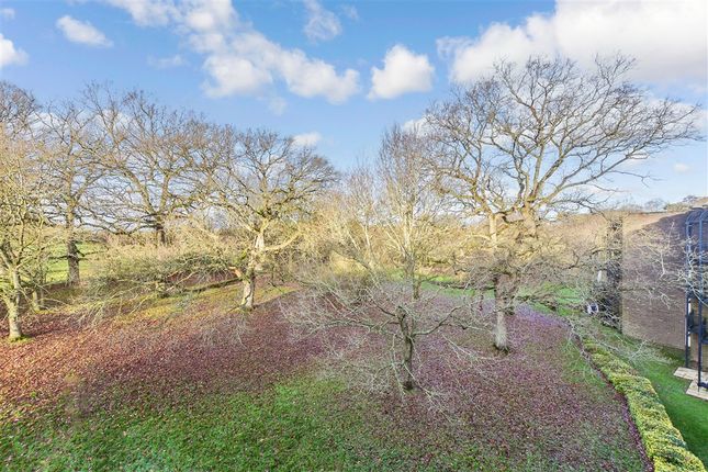 Sandwich Road Nonington, Canterbury photo 4