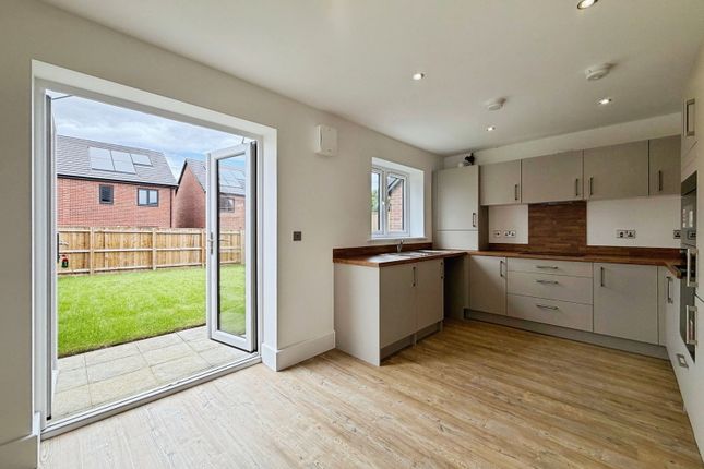 P48 - (Warkworth House Type), 7 Flamborough Close, Amble photo 2