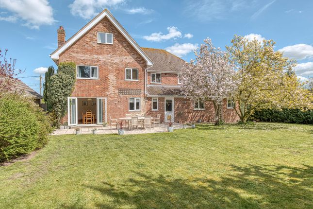 Springfields Garden House Lane, Diss photo 2