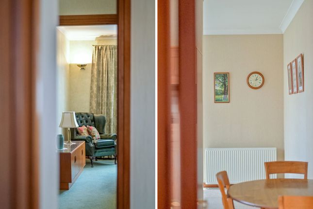 35 Lammerton Terrace, Dundee photo 4
