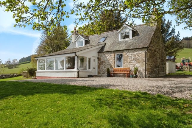 Thumbnail Detached house for sale in Dingwall