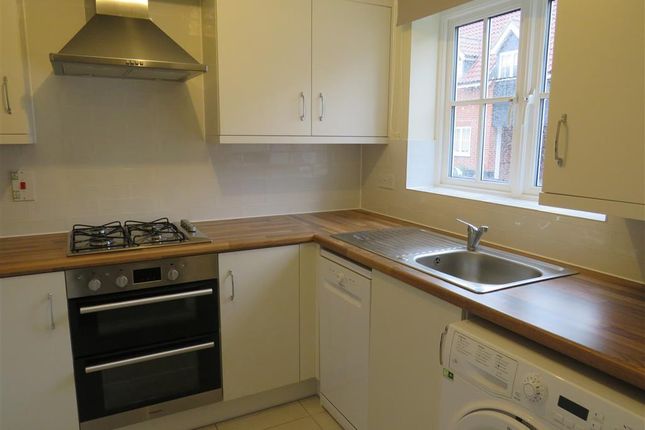 Thumbnail Property to rent in Arkell Avenue, Holt