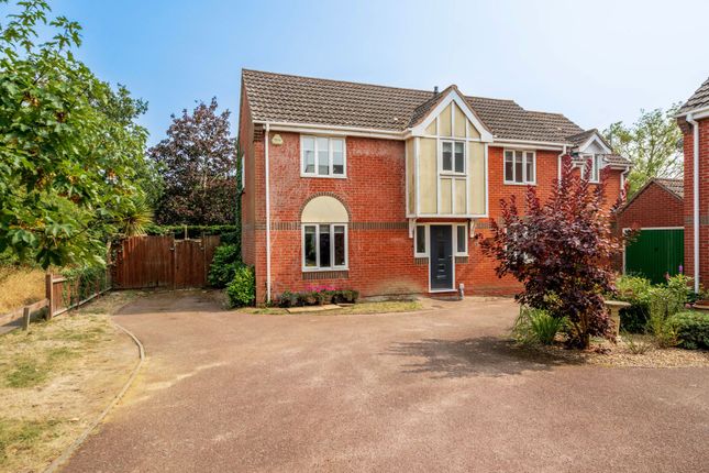 Thumbnail Detached house for sale in St, Marys Grove, Norwich