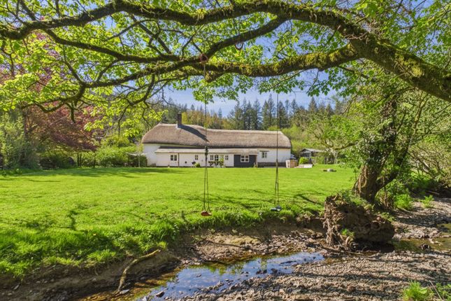 Little Kidland, Knowstone, South Molton photo 3