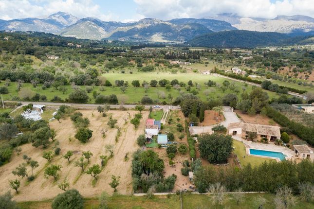 Land for sale in Spain, Mallorca, Campanet