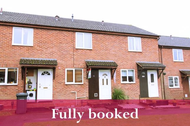 Terraced house to rent in Britten Drive, Exeter
