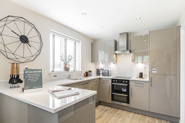 Terraced house for sale in "The Quince" at Kelvedon Road, Tiptree, Colchester