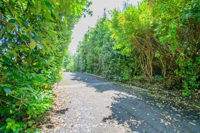 4, Chenotrie Gardens, Noctorum photo 4