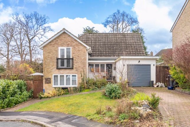 Thumbnail Detached house for sale in Millbrook Road, Crowborough
