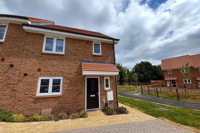 Thumbnail Semi-detached house for sale in Silver Birch Close, Cheshunt, Waltham Cross
