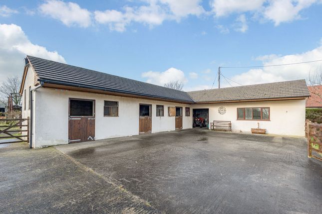 Lowe Farm, Leyland Lane, Leyland photo 3