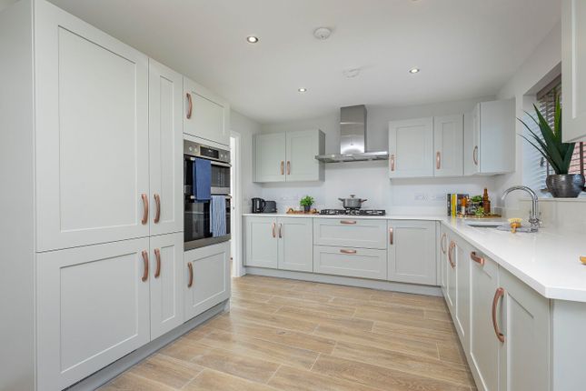 007, Long Meadow, Redhills, Exeter photo 2