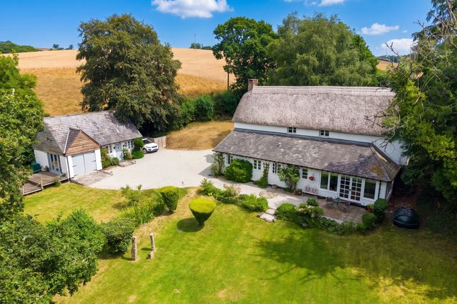 Polford Cottage, Exeter photo 4