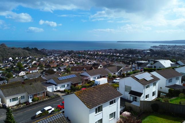 14 Green Park Road, Paignton photo 2