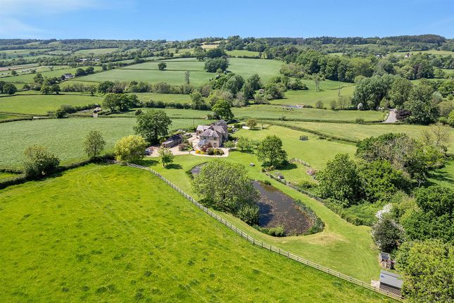 Bidwell Farm, Honiton photo 4