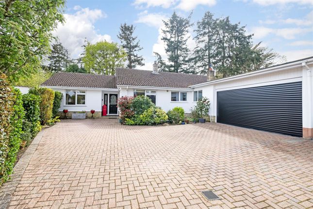 Thumbnail Bungalow for sale in Druids Close, West Parley, Ferndown