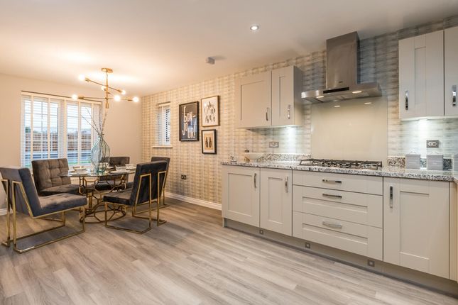 The Rossdale - Plot 248, Orchard Grove, Egremont Road, Taunton photo 4