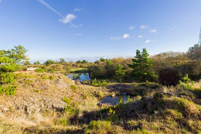 Land for sale in Countybridge Fishery, Goonhilly Downs, Helston, One-Of-A-Kind Oasis