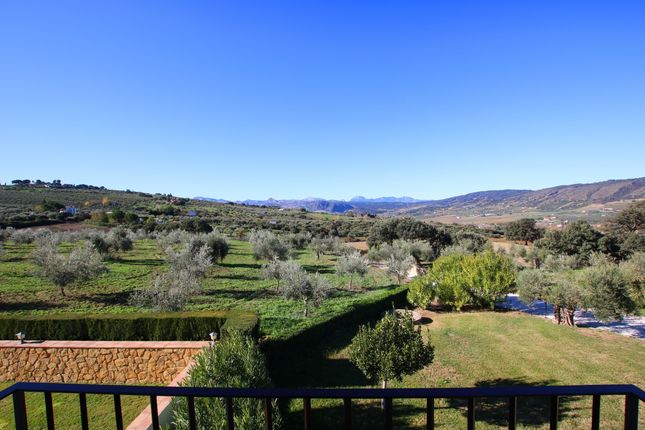 Land for sale in Ronda, Andalucia, Spain