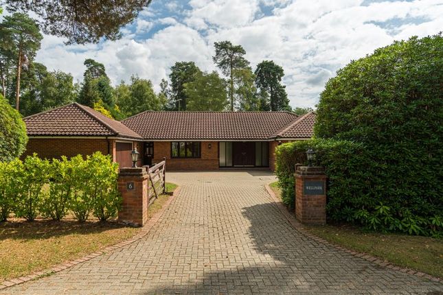 Thumbnail Bungalow for sale in Brock Way, Wentworth, Virginia Water