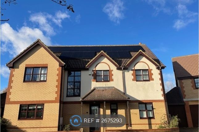 Front With New Solar Panels