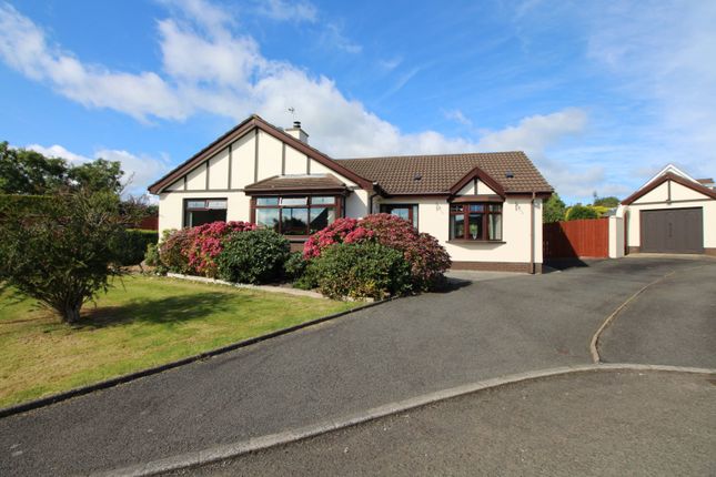 Thumbnail Bungalow for sale in Bluefield Park, Carrickfergus, County Antrim