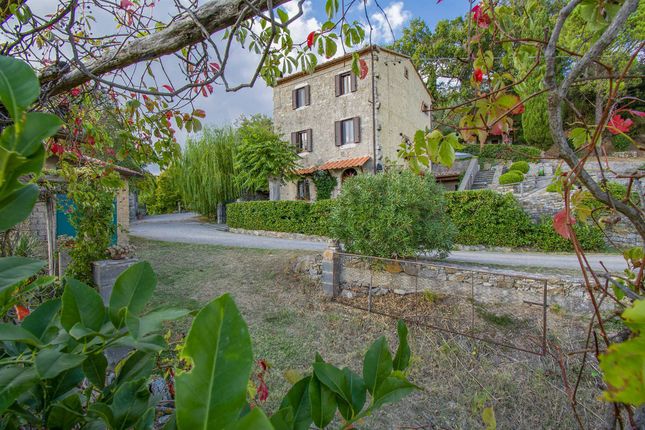 Thumbnail Detached house for sale in Località Follonata, Manciano, Toscana