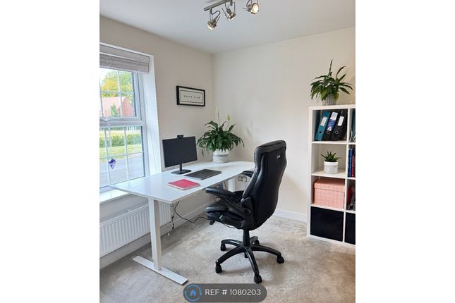 Office/Snug
