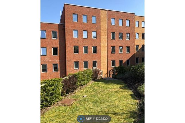 Thumbnail Flat to rent in Mulberry Court, Southampton