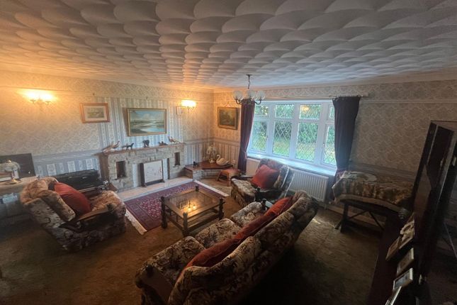The Bungalow, White Cross, Draw Dyke, Sutton St James photo 3