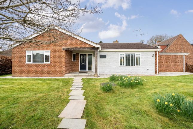 Detached bungalow to rent in Barkham Road, Wokingham