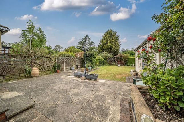 Rear Garden Angle 2