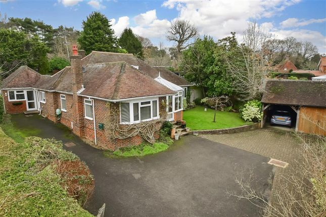 Thumbnail Detached bungalow for sale in Littlewood Lane, Buxted, Uckfield, East Sussex