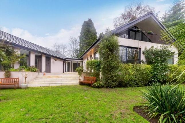 Thumbnail Detached house for sale in Contemporary Investment. North Lodge Drive, Ascot, Berkshire