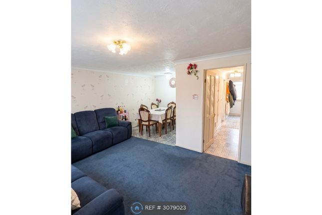 Chigwell photo 5