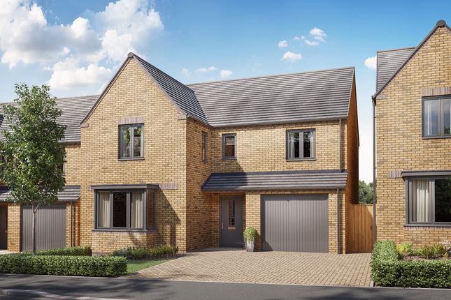 CGI External Exeter
