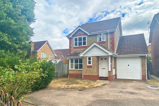 Thumbnail Detached house to rent in Sycamore Road, Farnborough