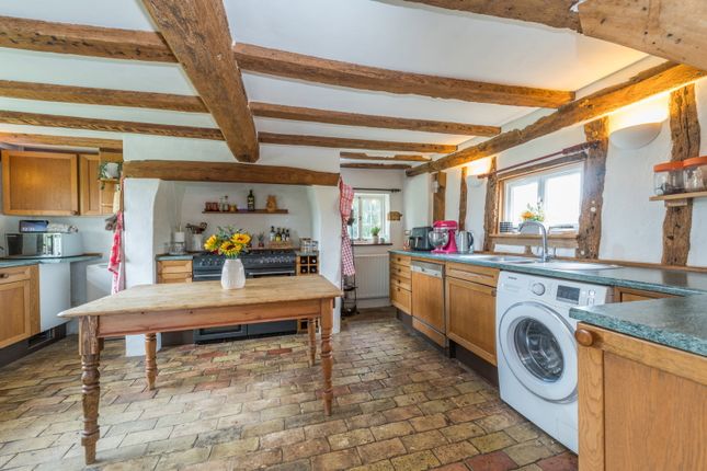 Eleys Cottage, Ipswich photo 4