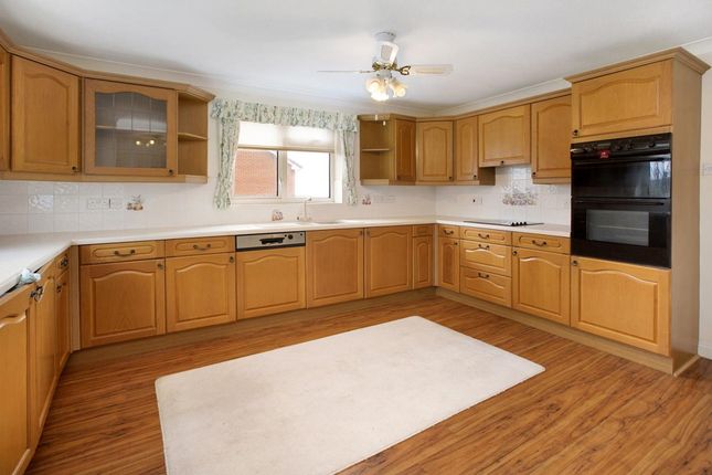 10 High House Close, Dawlish photo 2