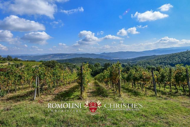 Thumbnail Detached house for sale in Montalcino, San Giovanni D'asso, 53024, Italy