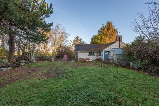 1, Moor Lane, Morpeth photo 4