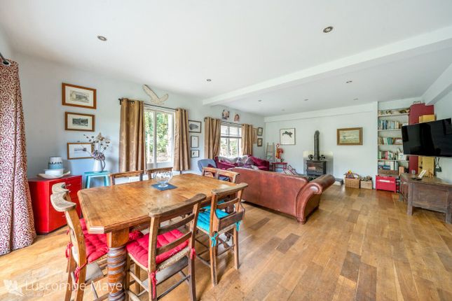 Hunter, Fallapit Cottages, Totnes photo 4