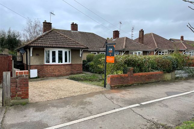 Thumbnail Bungalow for sale in Ipswich Road, Colchester, Essex