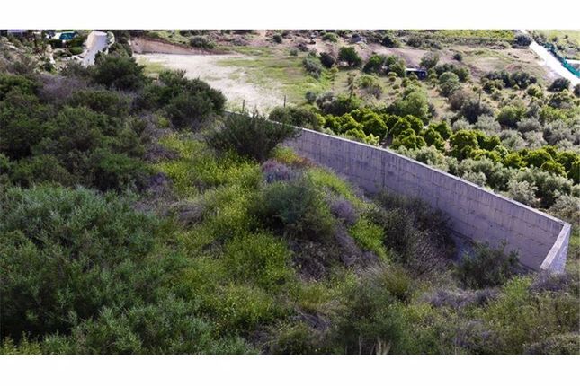 Land for sale in Foinikaria, Limassol, Cyprus