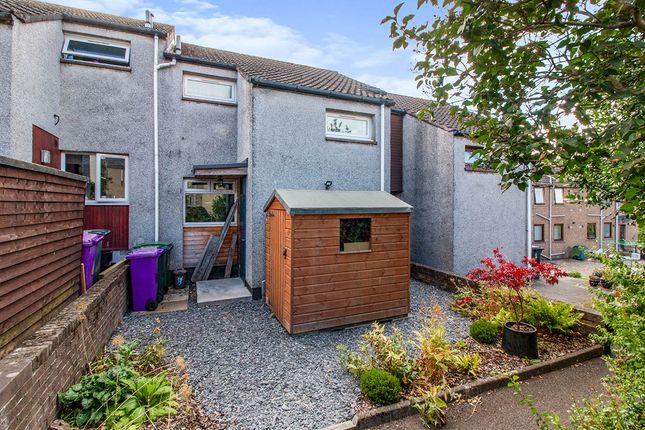 Thumbnail Terraced house for sale in Sheriff Park Rise, Forfar, Angus