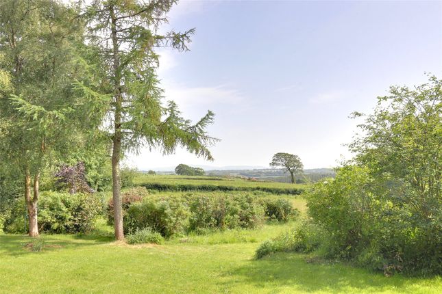 Clere Barn Petrockstow, Okehampton Devon, Devon photo 4